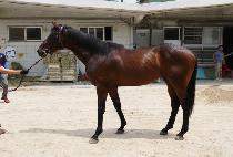 ��õ����� (DAECHEON HERO) ����