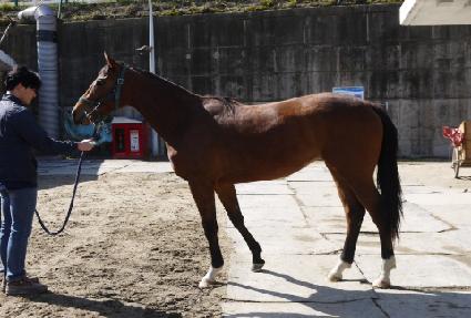 �ֿ� ����