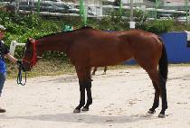 û������ (CHEONGDAM QUEENS) ����