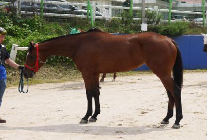 û������ ����