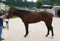 �����ϵ� (JANGSAN WILD) ����