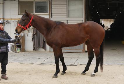 ǳ������ ����