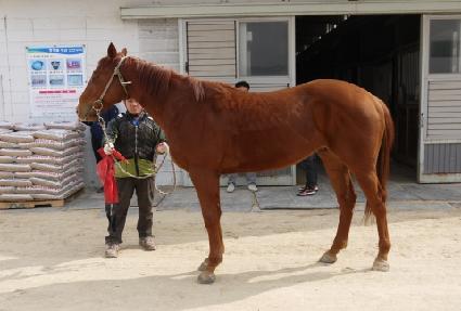 ���θ� ����