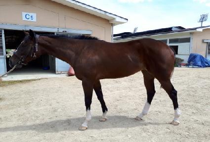 ��õ���� ����