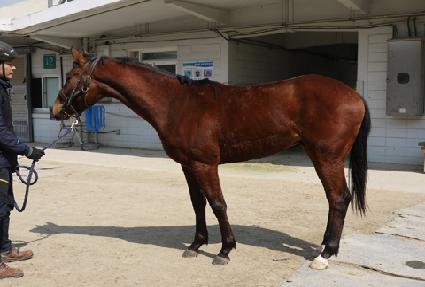 ���ʿ¼�Ŭ ����