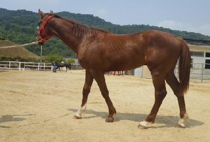 �������̽� ����