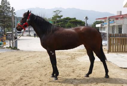 ������� ����