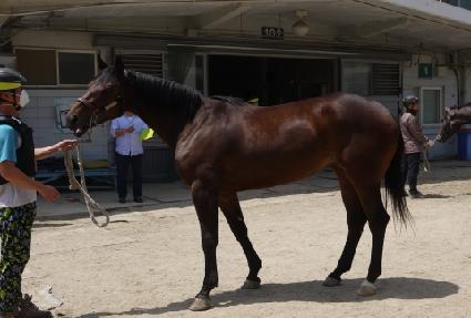 �Һ� ����