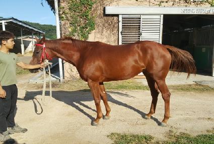 ��ġ���� ����