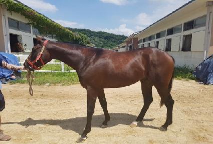 ������� ����