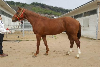 ��������̵� ����