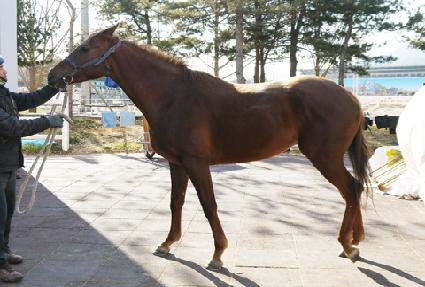 �Ѿ���� ����