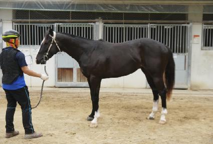 ����ȶ���Ʈ ����