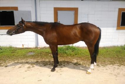 ���̹���Ʈ ����