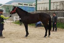 �����Ѽ��� (SOJUNGHAN SEONGBUL) ����