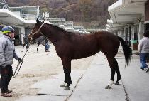 �����޸� (WONDER MERY) ����