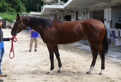 �޼��� ����