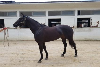 ����Ŀ� ����