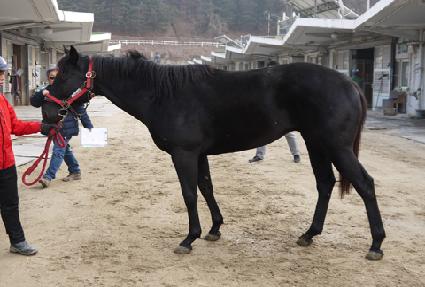 ��ο��� ����