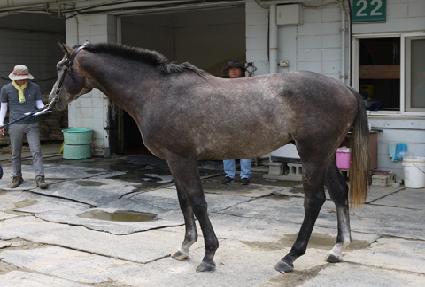 �Ⱑ����Ʈ ����