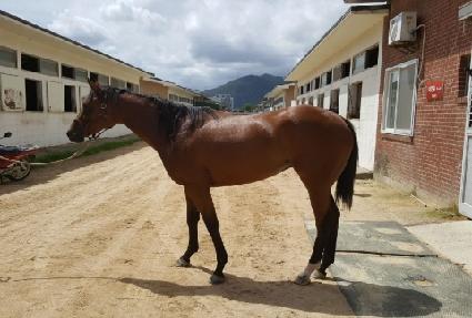 ������� ����