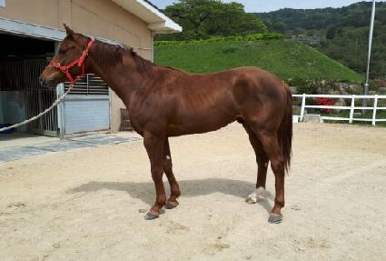 �����Լ� ����