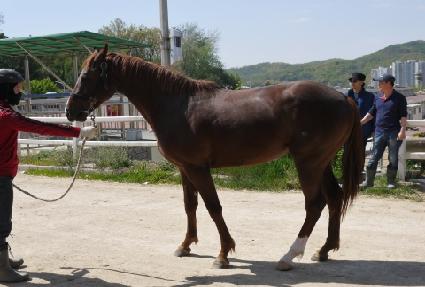 �ݼ��� ����