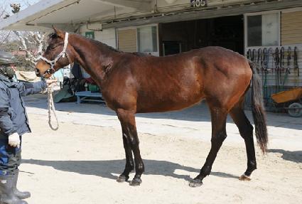 ũ������Ŀ� ����