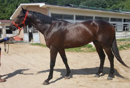 ����̵����� ����