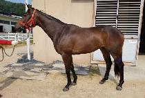 GYOHAKSANGJANG picture