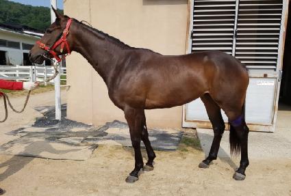 ���л��� ����