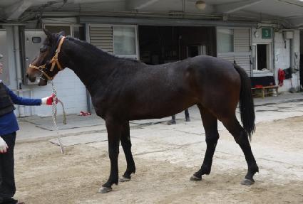 �������ý� ����