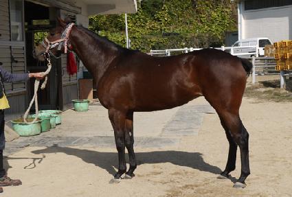 �������ູ ����