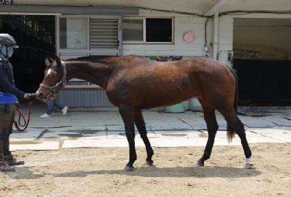 ���������� ����