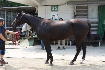 ��Ʈ�ܼ�Ʈ ����