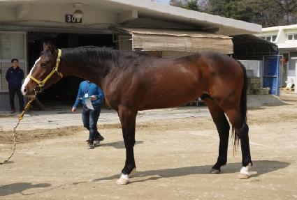 �����ѹ��ڱ� ����