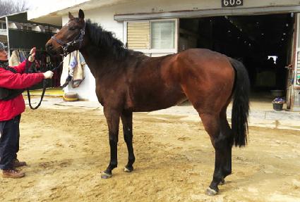 �����Ƽ�� ����