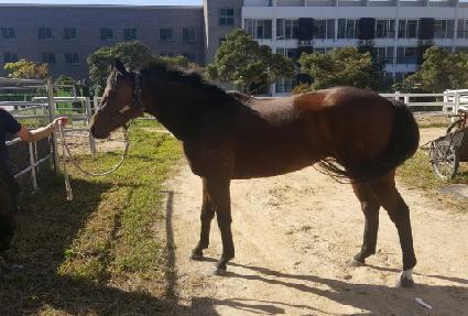 ������̵� ����