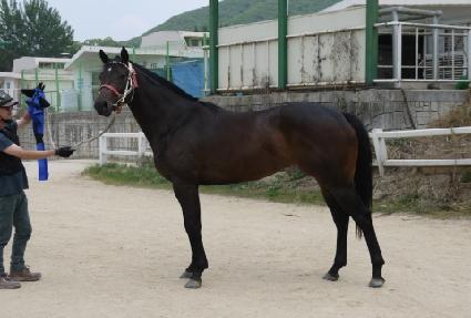 ���Ķ� ����