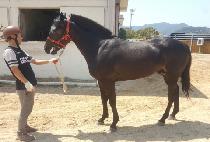 ������Ʈ��Ʈ (MAGIC STREET) ����