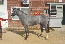 �мǿ� (FASHION WANG) ����