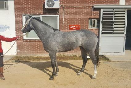 �мǿ� ����