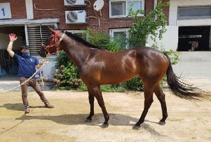 �̽���ũ ����