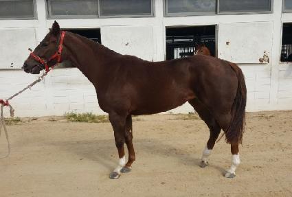 ŷ���ε� ����