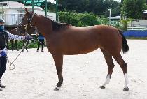 �������� (DONGBANG JIJU) ����