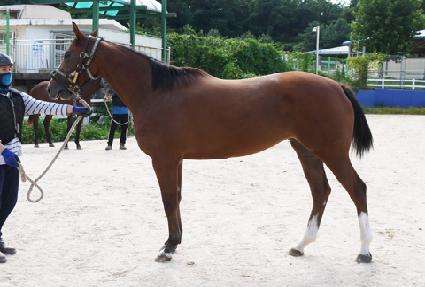 �������� ����