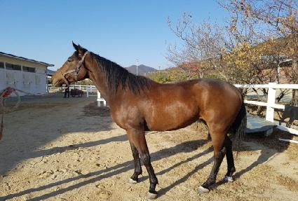 ���������� ����