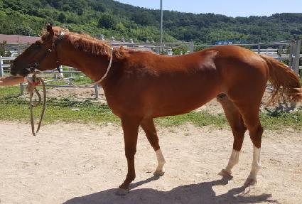 Ŭ�������� ����