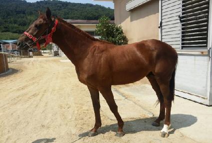 ������� ����