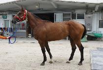 ���̿� (KAY ONE) ����